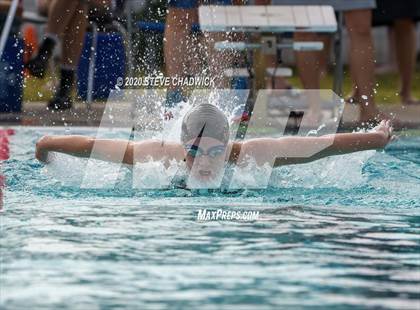 Thumbnail 3 in AIA Qualifier (Butterfly, Back, Breast Stroke) photogallery.