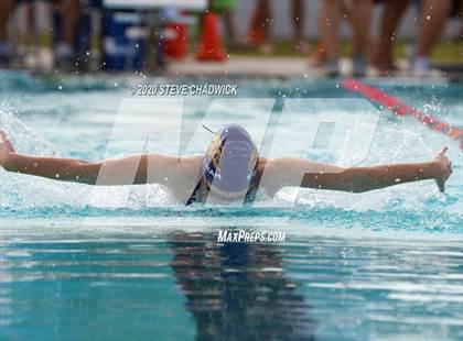 Thumbnail 3 in AIA Qualifier (Butterfly, Back, Breast Stroke) photogallery.