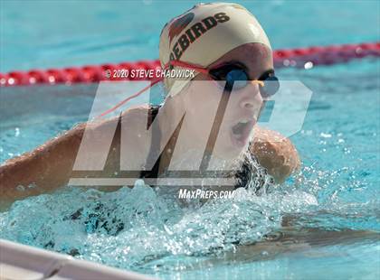 Thumbnail 1 in AIA Qualifier (Butterfly, Back, Breast Stroke) photogallery.