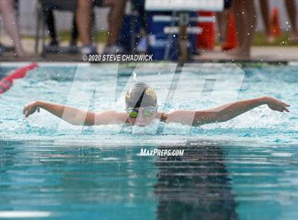 Thumbnail 3 in AIA Qualifier (Butterfly, Back, Breast Stroke) photogallery.
