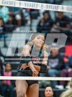 Photo from the gallery "Pearland @ Shadow Creek"