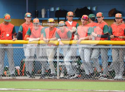 Thumbnail 1 in Pioneer vs. Harlingen South (UIL Baseball Bi-District 5A D2) photogallery.