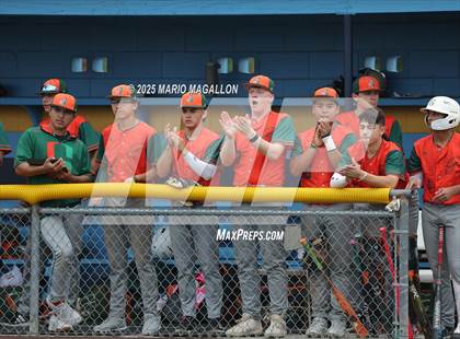 Thumbnail 2 in Pioneer vs. Harlingen South (UIL Baseball Bi-District 5A D2) photogallery.