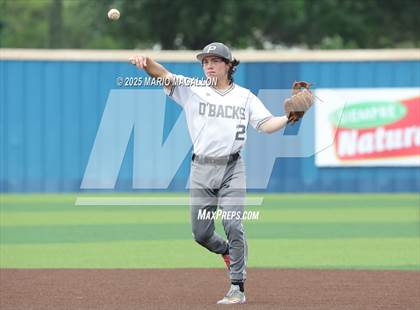 Thumbnail 2 in Pioneer vs. Harlingen South (UIL Baseball Bi-District 5A D2) photogallery.