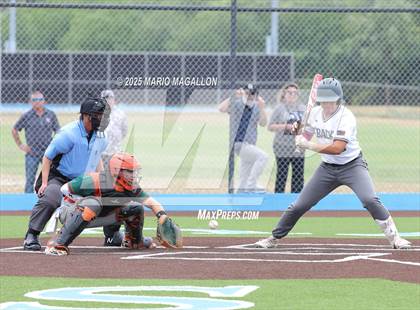 Thumbnail 1 in Pioneer vs. Harlingen South (UIL Baseball Bi-District 5A D2) photogallery.