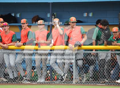 Thumbnail 2 in Pioneer vs. Harlingen South (UIL Baseball Bi-District 5A D2) photogallery.