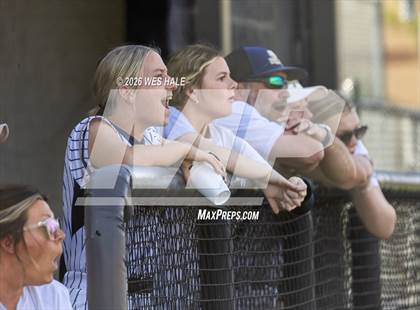 Thumbnail 1 in JV: Munford @ Arlington photogallery.