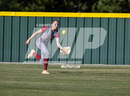 Thumbnail 3 in JV: Munford @ Arlington photogallery.