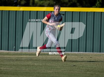 Thumbnail 3 in JV: Munford @ Arlington photogallery.