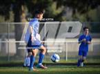 Photo from the gallery "Tumwater @ Rochester"