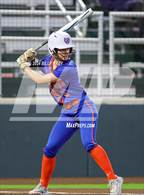 Photo from the gallery "Grand Oaks @ Cleveland"