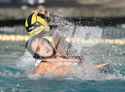 Thumbnail 3 in Esperanza @ Villa Park photogallery.