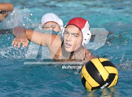 Thumbnail 3 in Esperanza @ Villa Park photogallery.