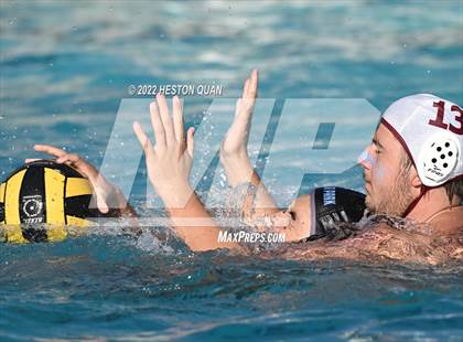 Thumbnail 3 in Esperanza @ Villa Park photogallery.