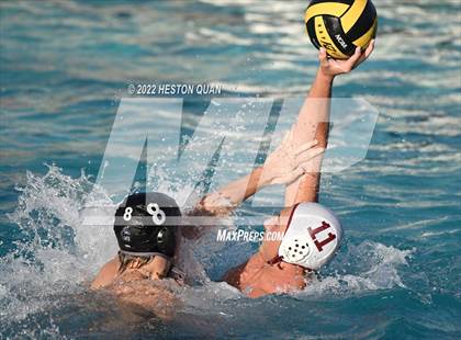 Thumbnail 3 in Esperanza @ Villa Park photogallery.