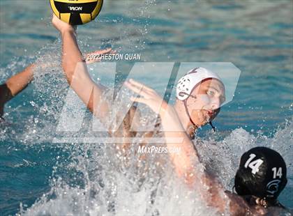 Thumbnail 2 in Esperanza @ Villa Park photogallery.