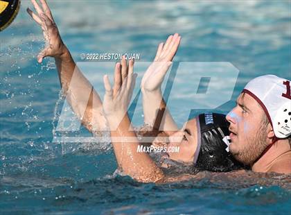 Thumbnail 3 in Esperanza @ Villa Park photogallery.