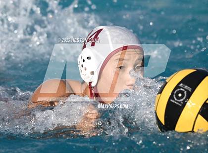 Thumbnail 3 in Esperanza @ Villa Park photogallery.