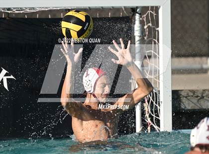 Thumbnail 3 in Esperanza @ Villa Park photogallery.