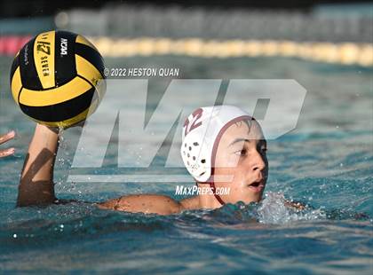 Thumbnail 3 in Esperanza @ Villa Park photogallery.