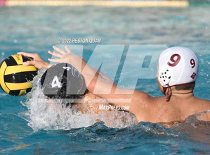 Thumbnail 3 in Esperanza @ Villa Park photogallery.