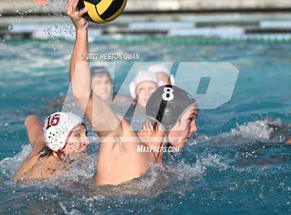 Thumbnail 3 in Esperanza @ Villa Park photogallery.
