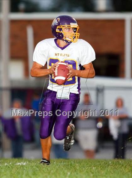 Thumbnail 3 in Mt. Olive @ Staunton photogallery.
