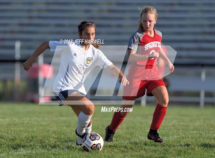 Thumbnail 3 in Streetsboro @ Springfield photogallery.