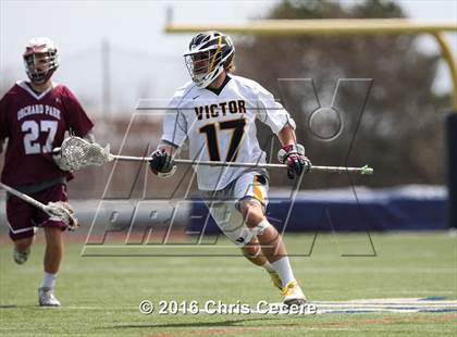 Thumbnail 1 in Orchard Park @ Victor photogallery.