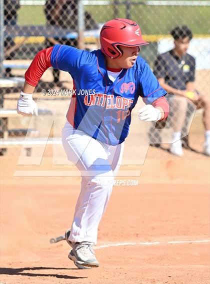 Thumbnail 3 in Antelope @ Desert Heights Prep photogallery.