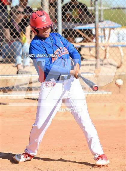 Thumbnail 1 in Antelope @ Desert Heights Prep photogallery.