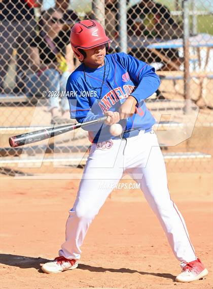 Thumbnail 3 in Antelope @ Desert Heights Prep photogallery.