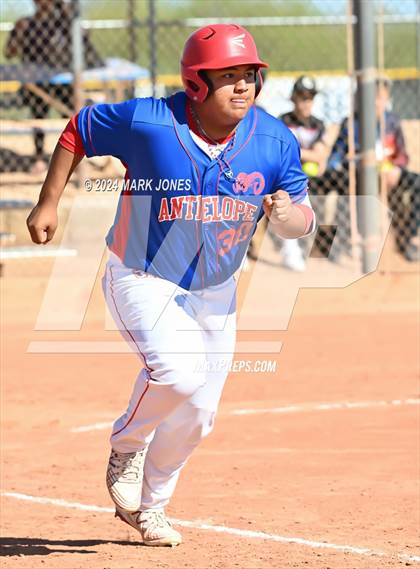 Thumbnail 1 in Antelope @ Desert Heights Prep photogallery.