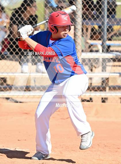 Thumbnail 1 in Antelope @ Desert Heights Prep photogallery.