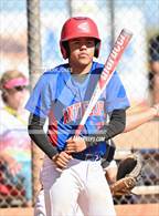 Photo from the gallery "Antelope @ Desert Heights Prep"