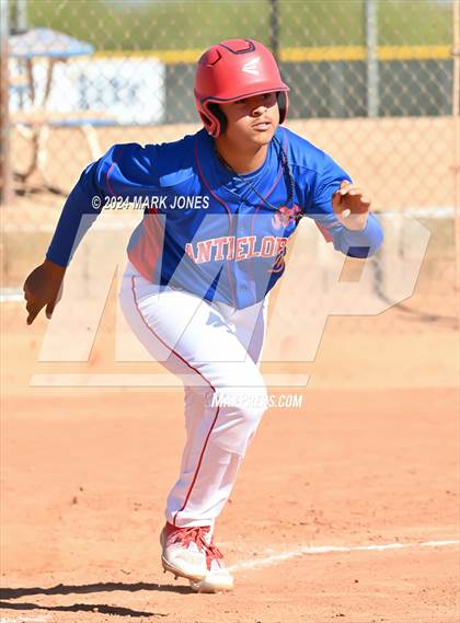 Thumbnail 2 in Antelope @ Desert Heights Prep photogallery.