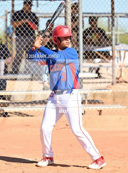 Thumbnail 1 in Antelope @ Desert Heights Prep photogallery.