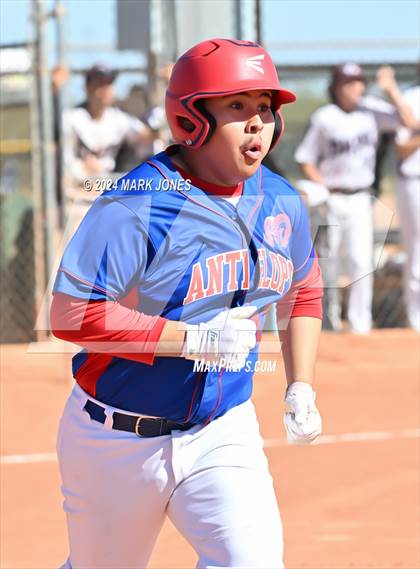 Thumbnail 2 in Antelope @ Desert Heights Prep photogallery.