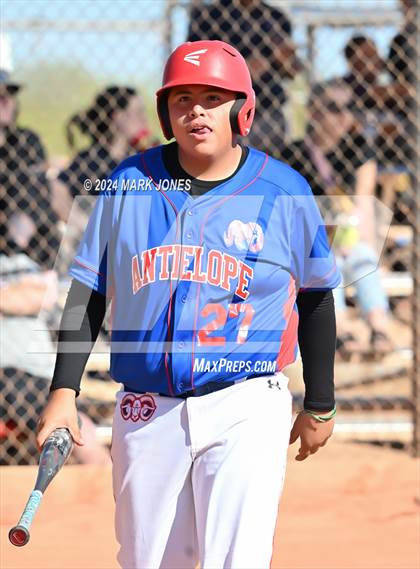 Thumbnail 3 in Antelope @ Desert Heights Prep photogallery.