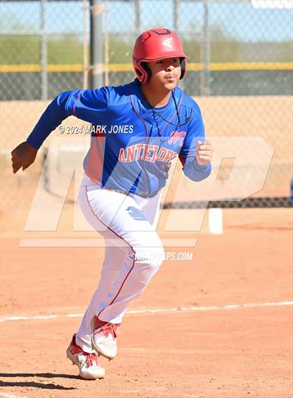 Thumbnail 3 in Antelope @ Desert Heights Prep photogallery.