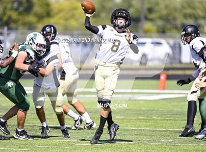Thumbnail 2 in JV: Mt. Vernon @ Pendleton Heights photogallery.