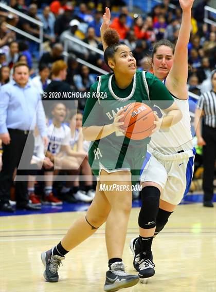 Thumbnail 2 in Palisades vs. Hamilton (CIF LA City Open Finals) photogallery.