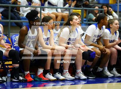 Thumbnail 2 in Palisades vs. Hamilton (CIF LA City Open Finals) photogallery.