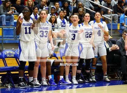 Thumbnail 3 in Palisades vs. Hamilton (CIF LA City Open Finals) photogallery.