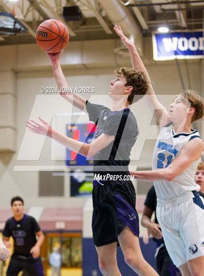 Thumbnail 1 in Leo @ Woodlan photogallery.