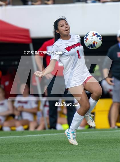 Thumbnail 1 in Wheatmore vs. Manteo (NCHSAA 2A Final) photogallery.