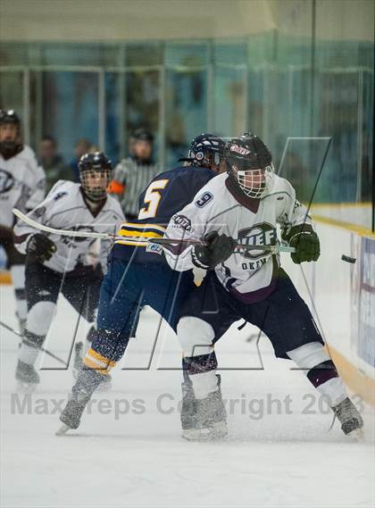 Thumbnail 2 in Okemos vs. DeWitt/St Johns  photogallery.