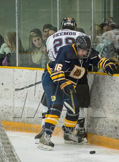 Thumbnail 1 in Okemos vs. DeWitt/St Johns  photogallery.