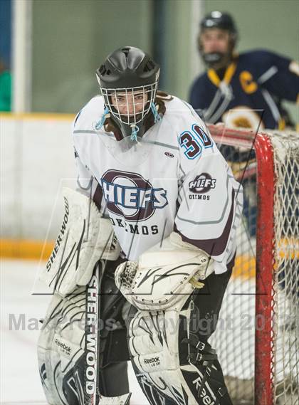 Thumbnail 2 in Okemos vs. DeWitt/St Johns  photogallery.