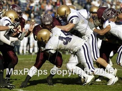 null - Photo 21